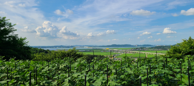 피나클랜드수목원