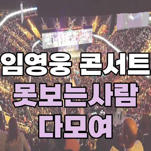 임영웅 콘서트