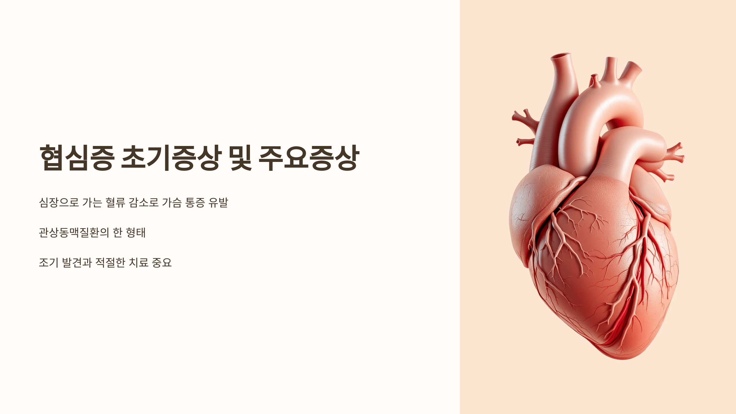 협심증과 관련된 사진입니다.