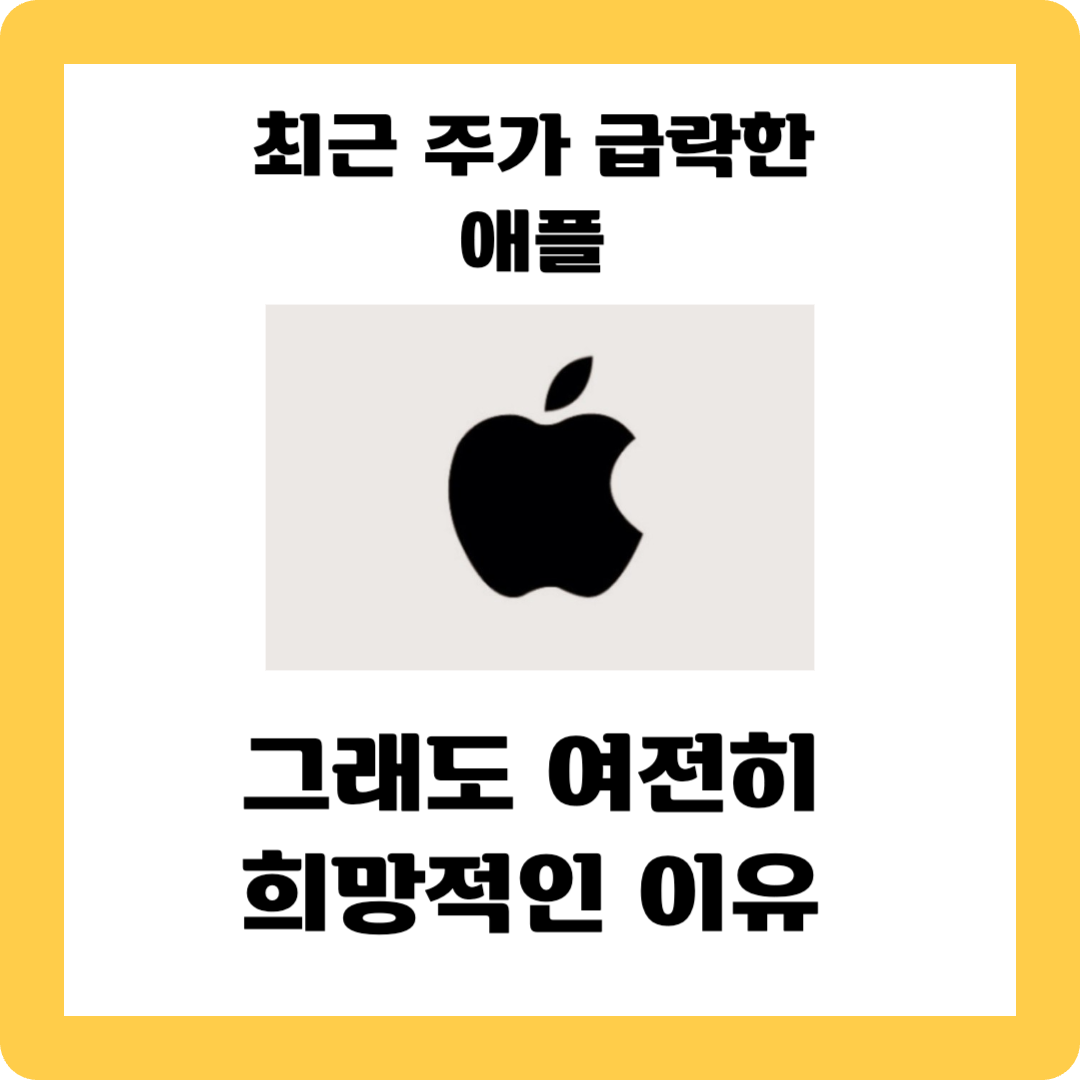 애플주가급락
