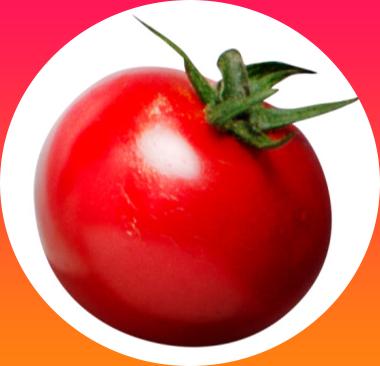 토마토