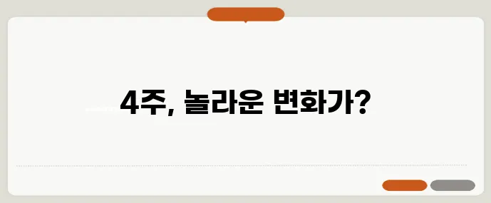 GLP-1 주사 다이어트 4주 실제 체중 변화 데이터를 공개합니다!