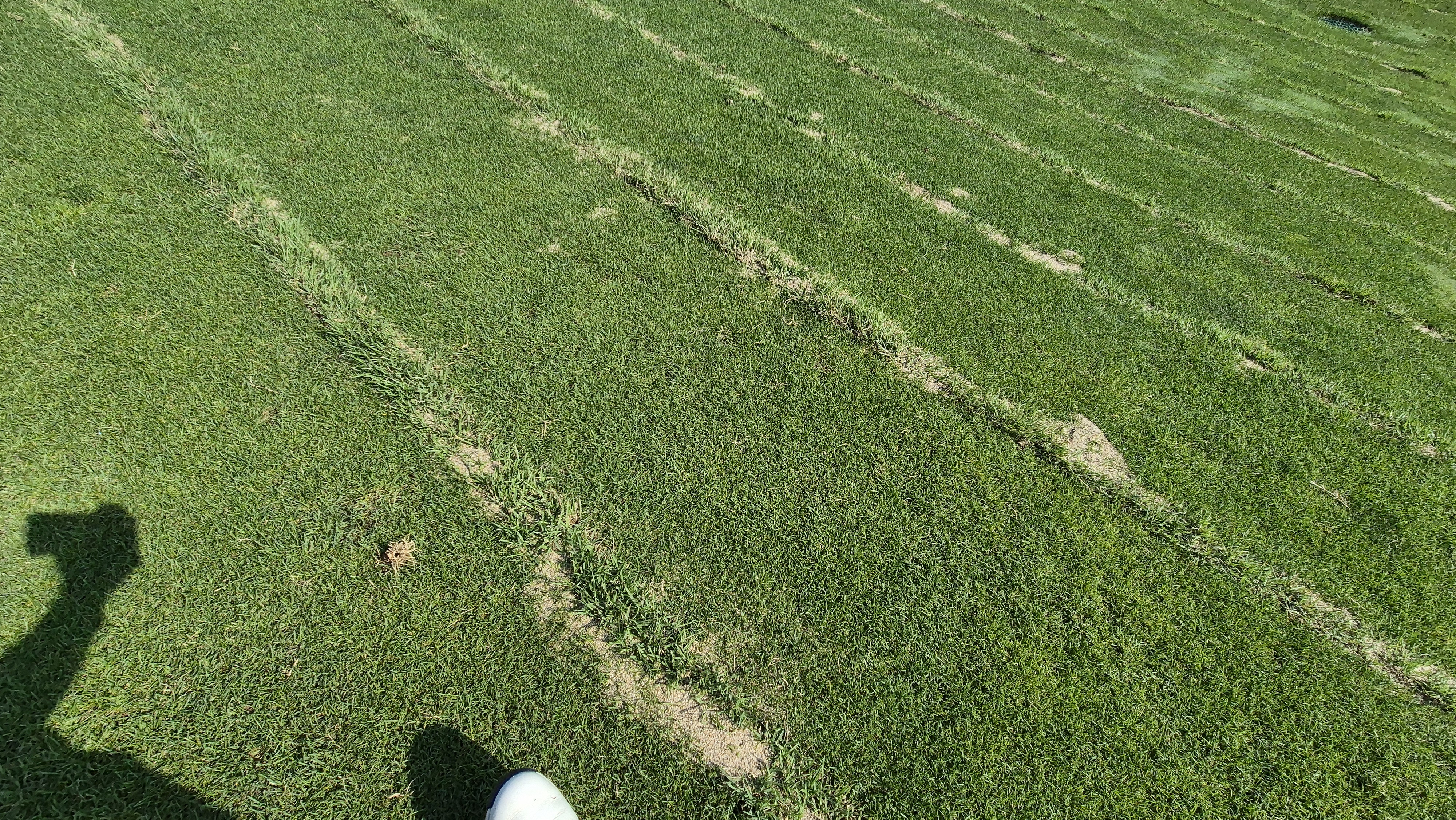 샤인데일cc 라운드 후기