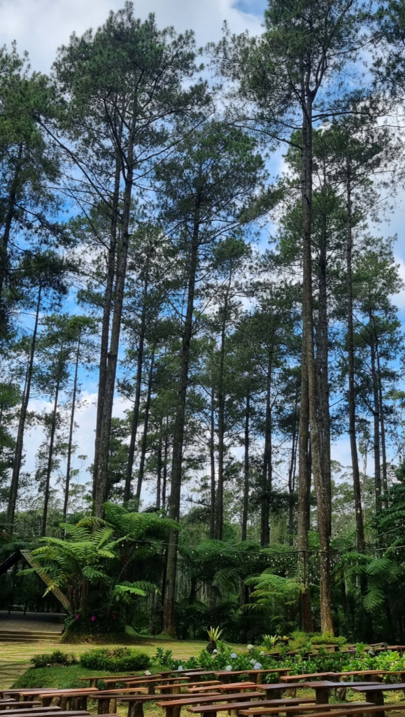 Orchid Forest Cikole