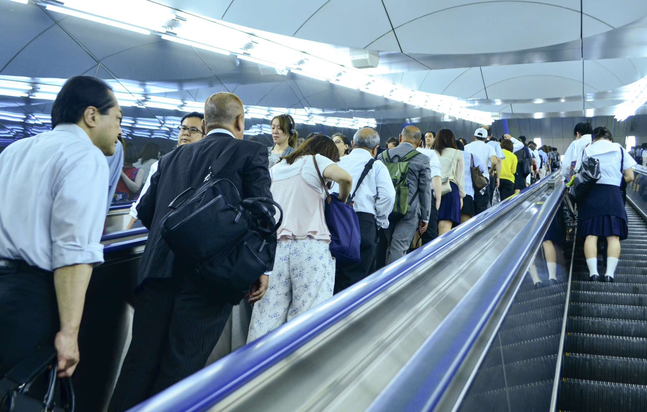 광동 침향환 효능 가격 프로모션 복용 방법 및 부작용5