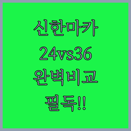 신한 전문가용 마카펜 세트 36색 2..