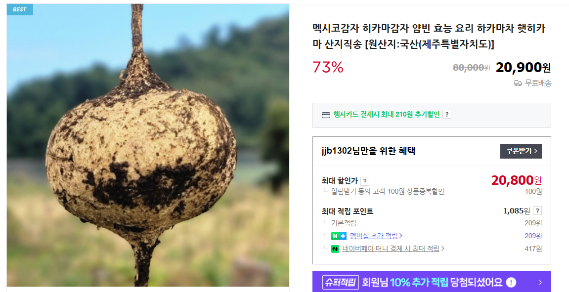 히카마 7가지 효능 및 재배 방법 (+ 차 종류 먹는 법 수확 시기)