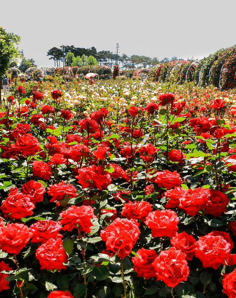 전남 방문의 달 할인혜택