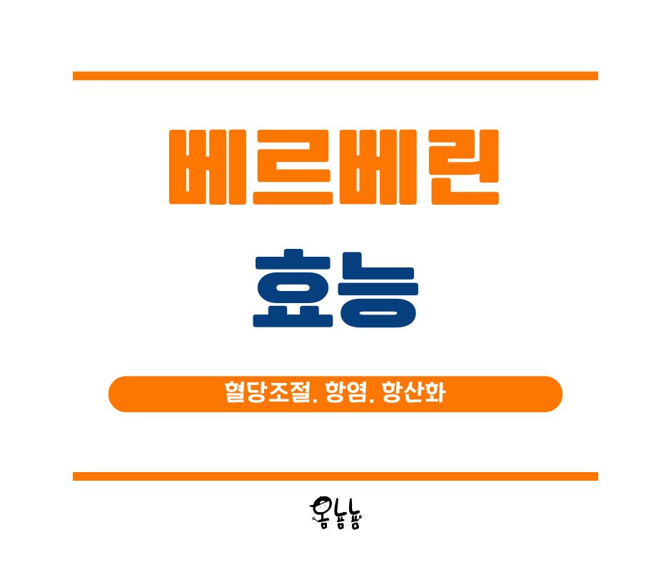 베르베린 효능