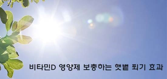 햇볕과 비타민D