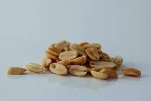땅콩