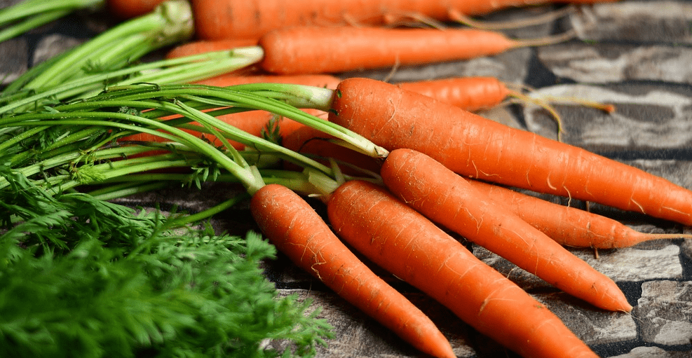 잇몸에 좋은 음식 사진 - 9