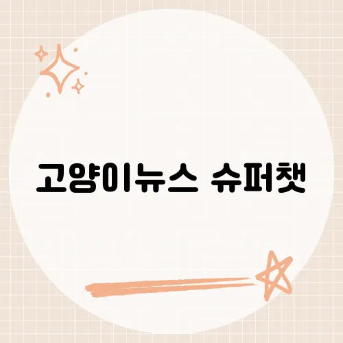 고양이뉴스 슈퍼챗, 실시간 고양이 소식과 슈퍼챗 문화를 아우르는 뉴스 트렌드 분석