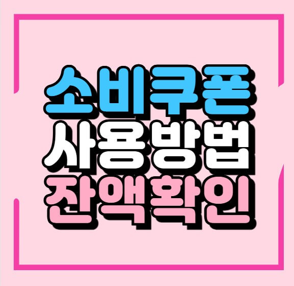 소비쿠폰 사용방법 잔액확인