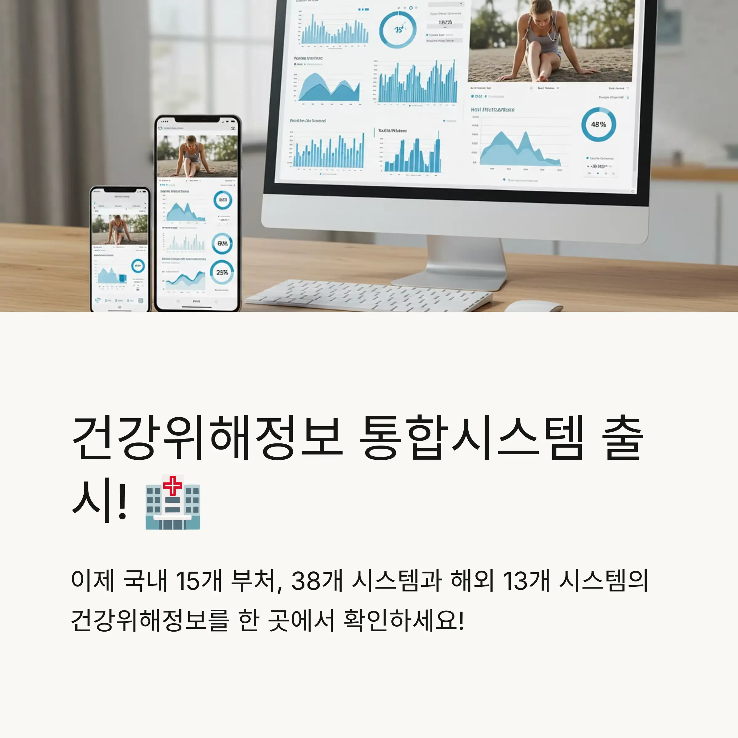 🔍 건강위해통합정보시스템 개요