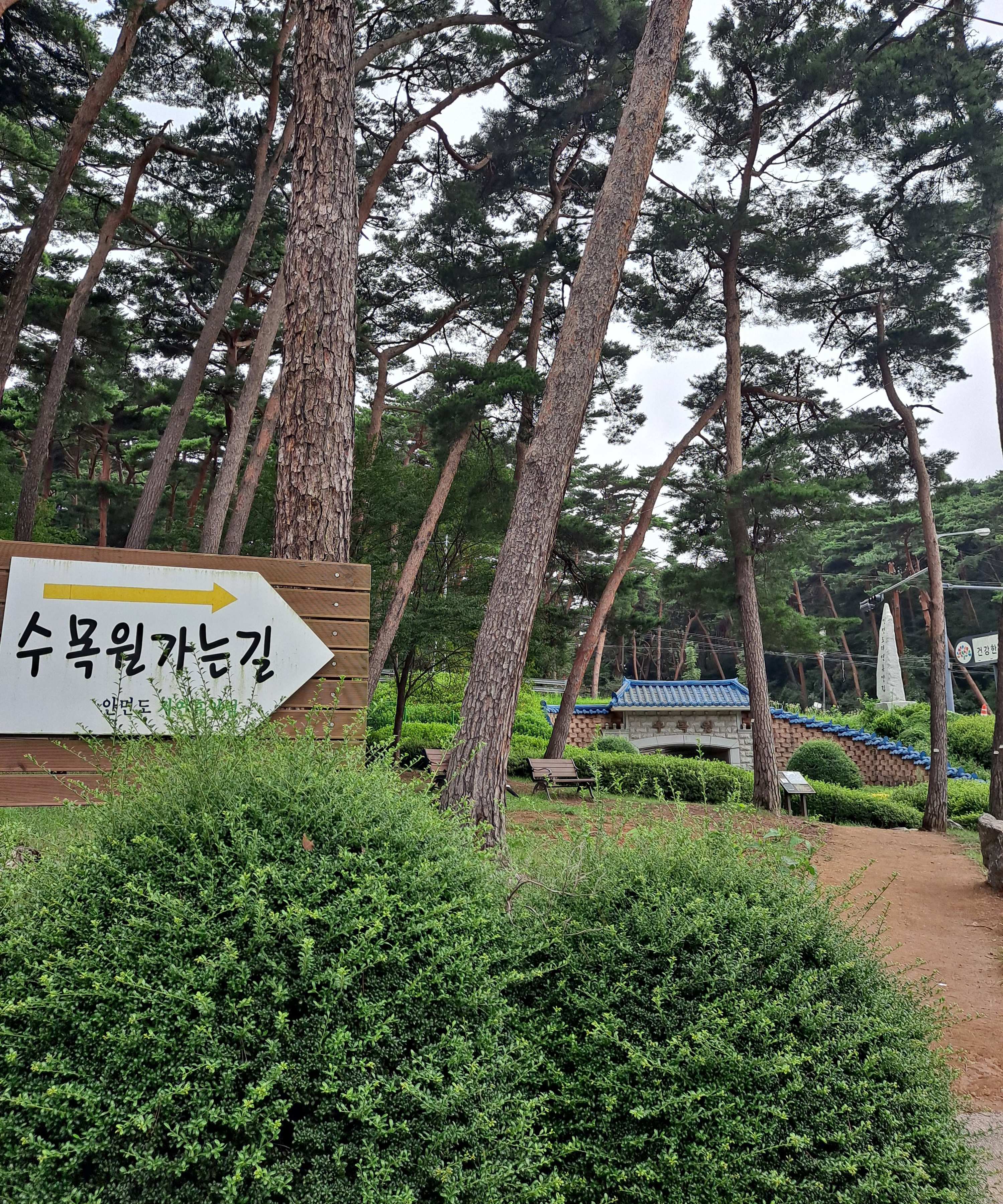 안면도 수목원가는길