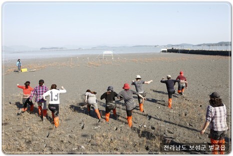  벌교꼬막 축제 프로그램