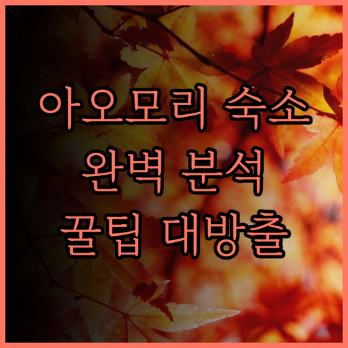 아오모리 숙소 완벽 분석 토요코인 호