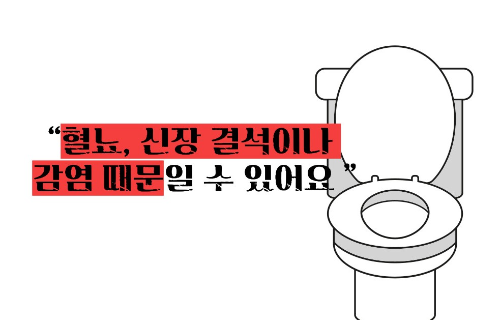 혈뇨가 나오는 이유