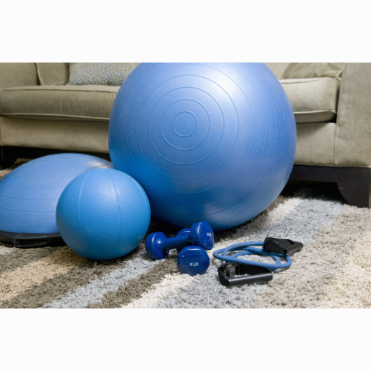헬스 소도구, 짐볼, 보수볼