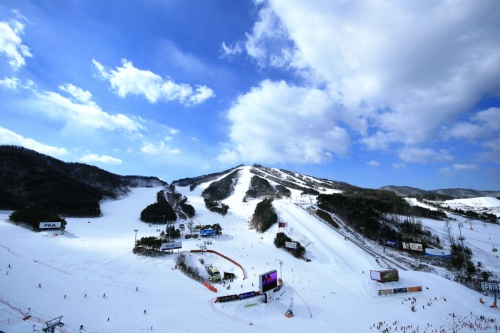 웰리힐리파크_스노우파크