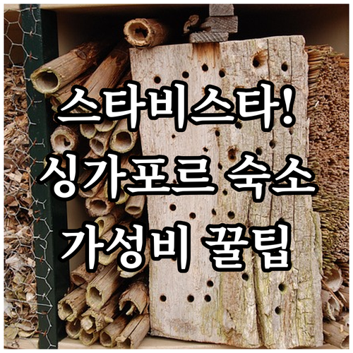 더 스타 비스타 근처 싱가포르 호텔 ..