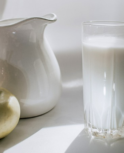 분리유청단백질 부작용