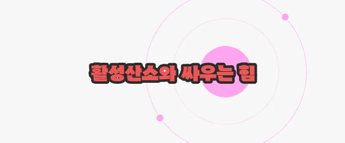 항산화란 이제 하나씩 확인해보죠
