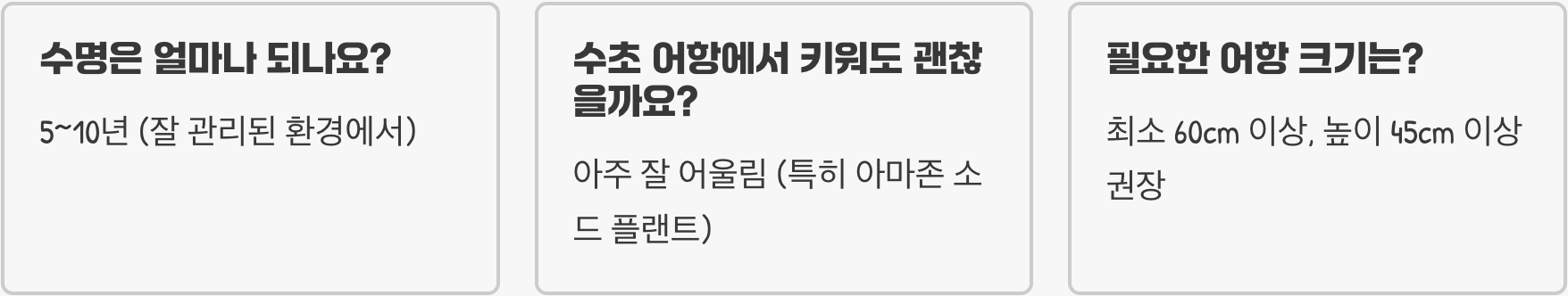 열대어의 여왕, 엔젤피쉬가 최고의 관상어인 이유