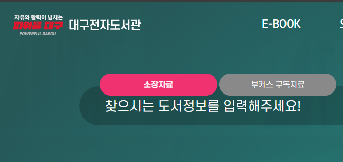 대구 전자도서관3