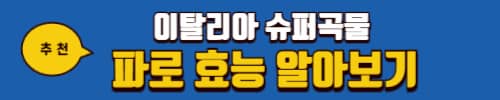 렌틸콩 효능