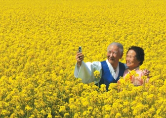 삼척 맹방 유채꽃 축제 프로그램&amp;#44; 주차장 및 교통 총정리(+주변 관광 명소)