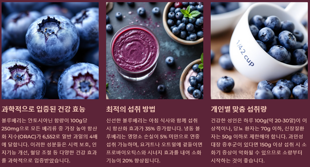 블루베리의 놀라운 효능