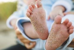 입양 조건 절차 확인하기