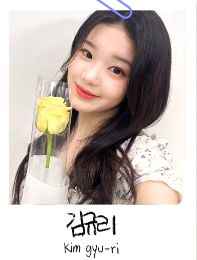 김규리