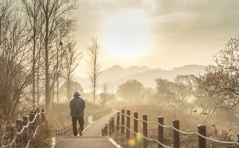 65세이상-노인-혜택