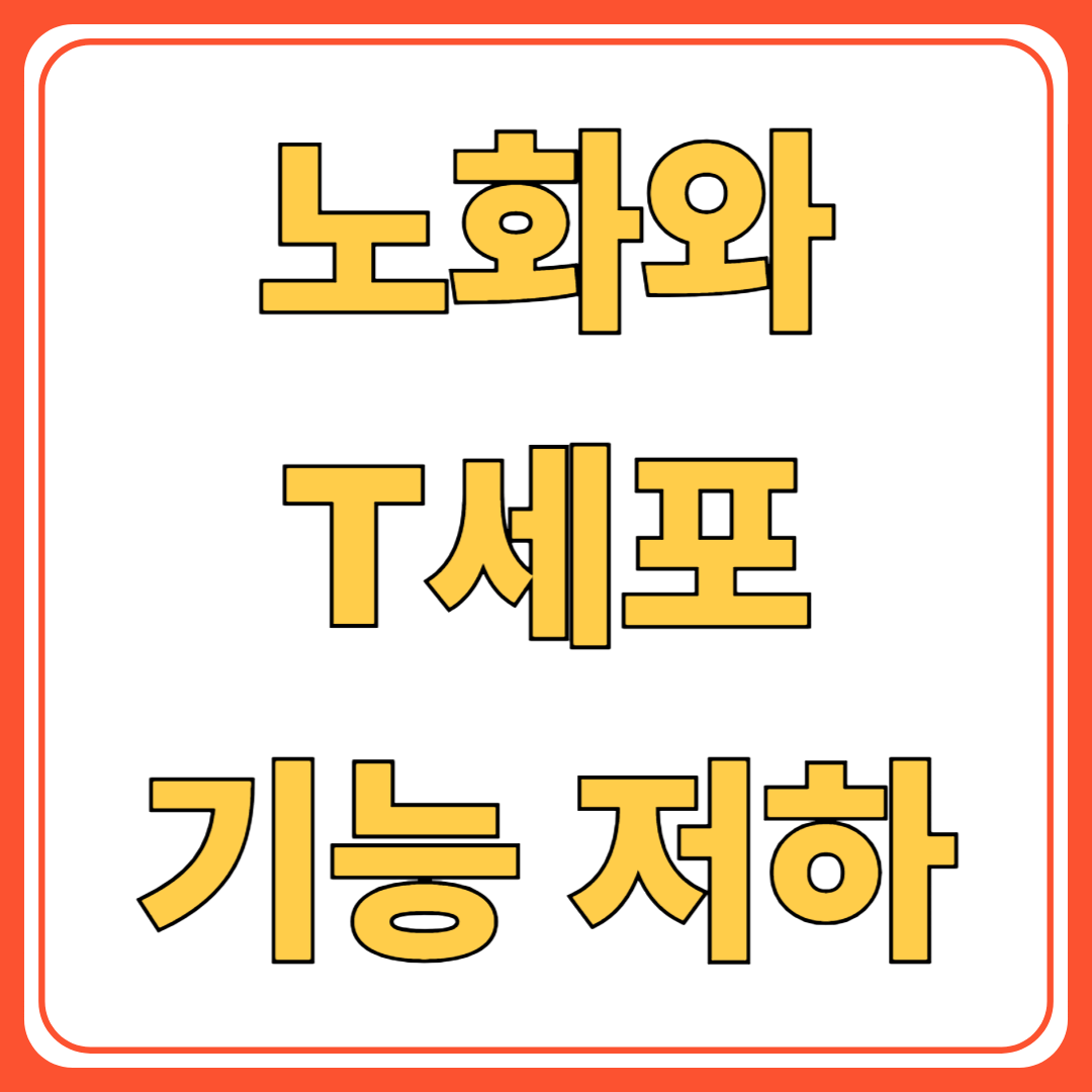 노화와 T세포 기능 저하 ( 면역력 유지 전략 )