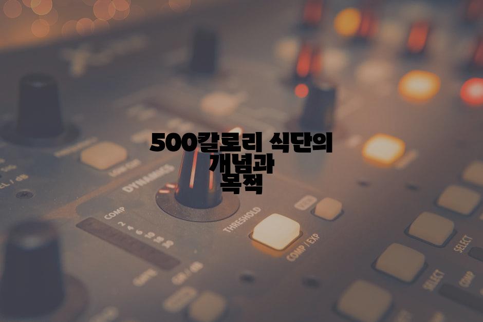 500칼로리 식단의 개념과 목적