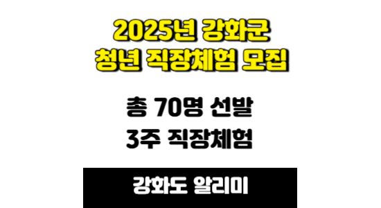 2025년 강화군 하계 청년 직장체험 연수자 모집 안내