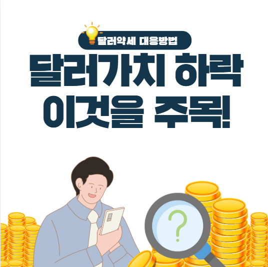 달러약세 대응방법