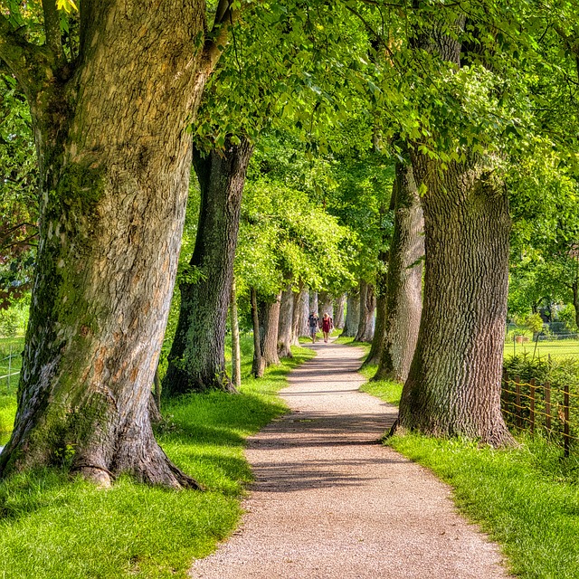 &amp;quot;주민등록사실조사 무응답 시 벌금? 방문&middot;전화 확인 요령까지 한눈에 정리&amp;quot;