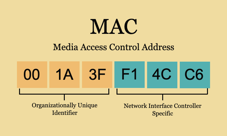 #4 네트워크 L2계층 MAC통신 이란 ?
