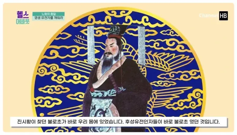 일본nmn효능