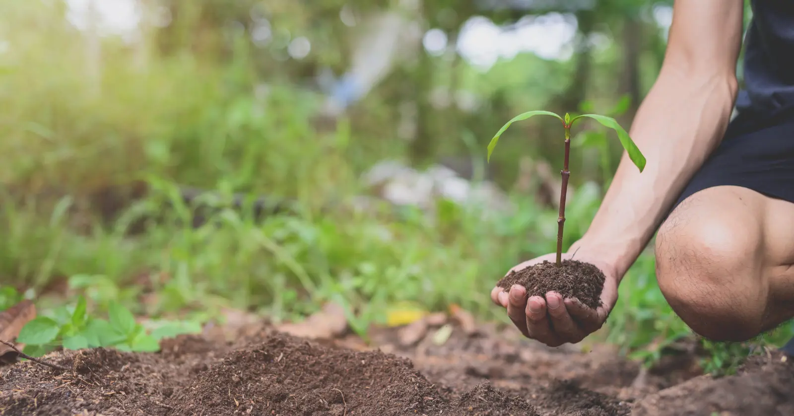 음식물처리기 지원금 소비자 후기와 주의사항