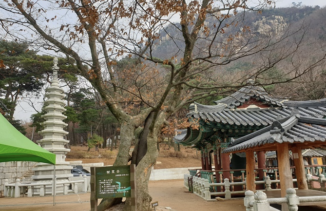 호압사 이미지