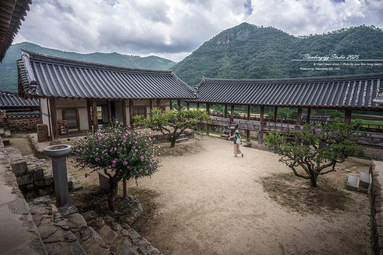 #안동 #서원 #유학 #병산서원 #배롱꽃