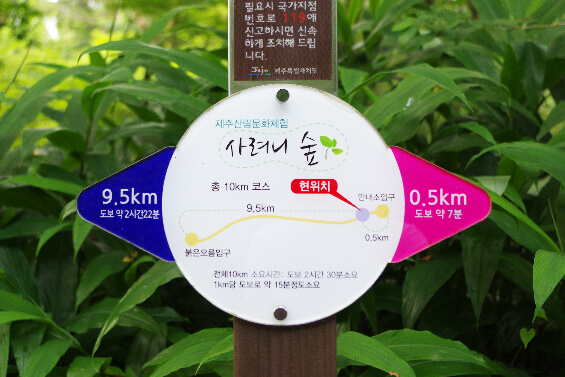 사려니숲