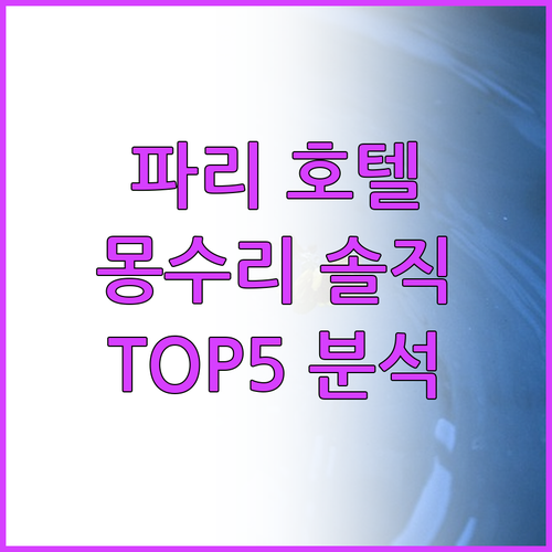 파리 호텔 추천 빌라 로얄 몽수리 솔