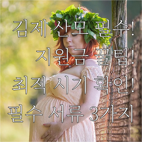 2025 김제 보건소 산모 지원 신청..