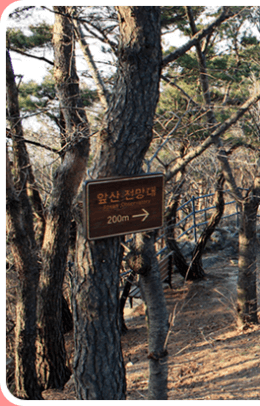 대구 앞산 케이블카 주차장